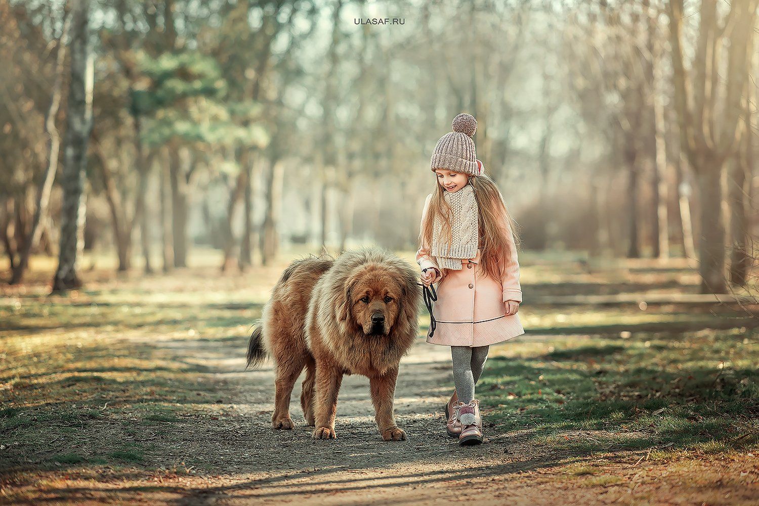 art photo, glamour, портрет, зима, winter, ребенок, дети, девочка, girl, животное, собака, мастиф, dog, радость, people, малыш, друзья, happy, любовь, love, 105mm, kid, children, beautiful, Юлия Сафо