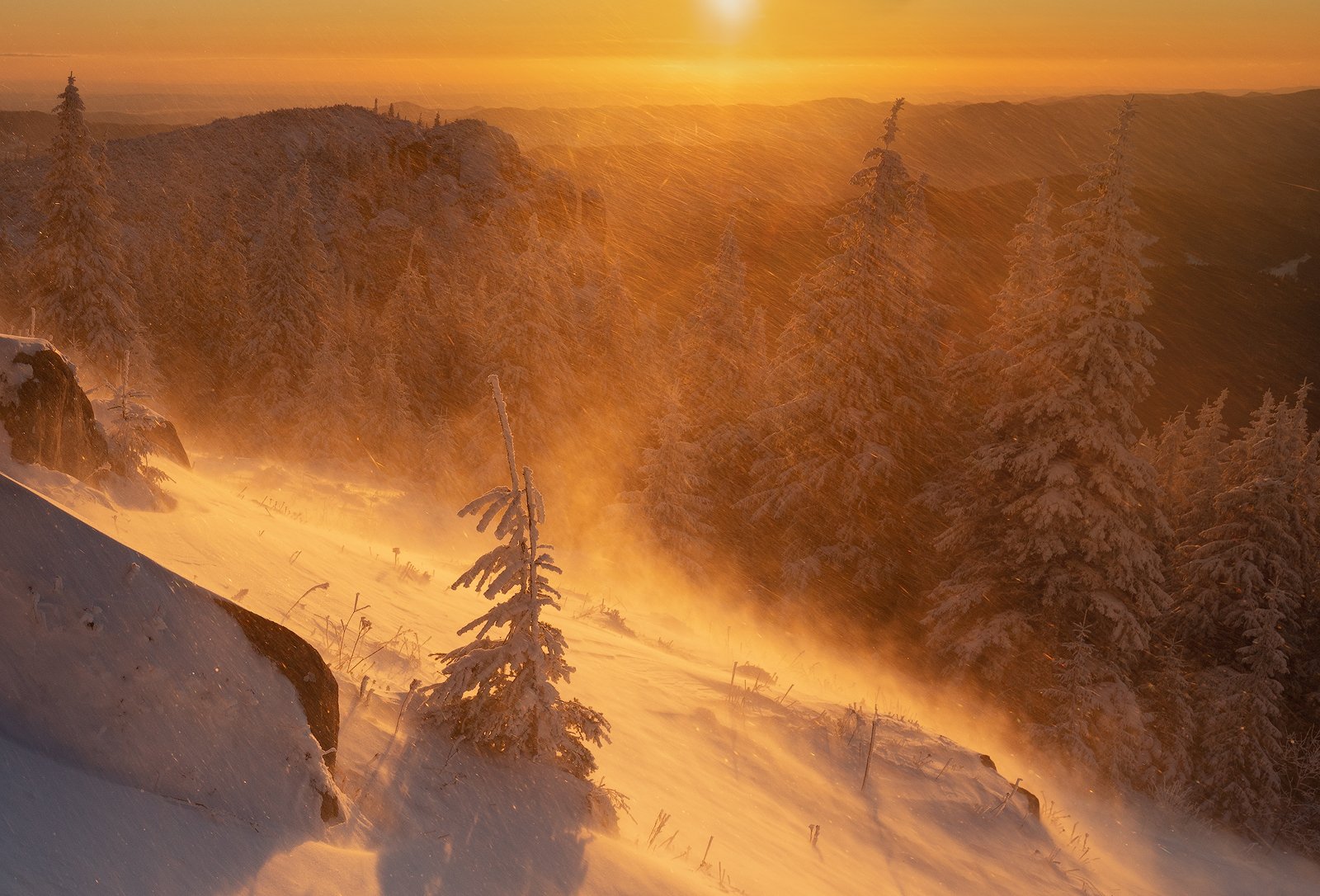 winter, trees, blizzard, snow, landscape, travel, nature, mountain, romania, cold, sunrise, Lazar Ioan Ovidiu