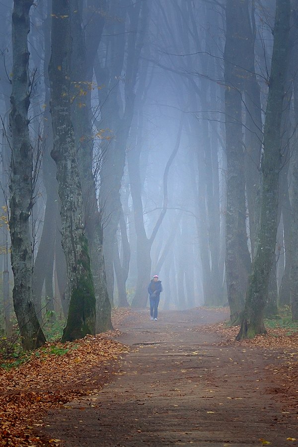 осень, лес, туман, тропинка, прохожий, Serj Master