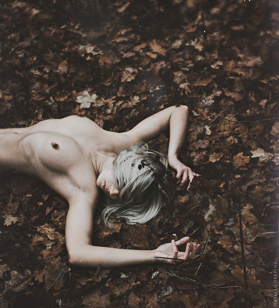 autumn, leaves, Natalia Drepina