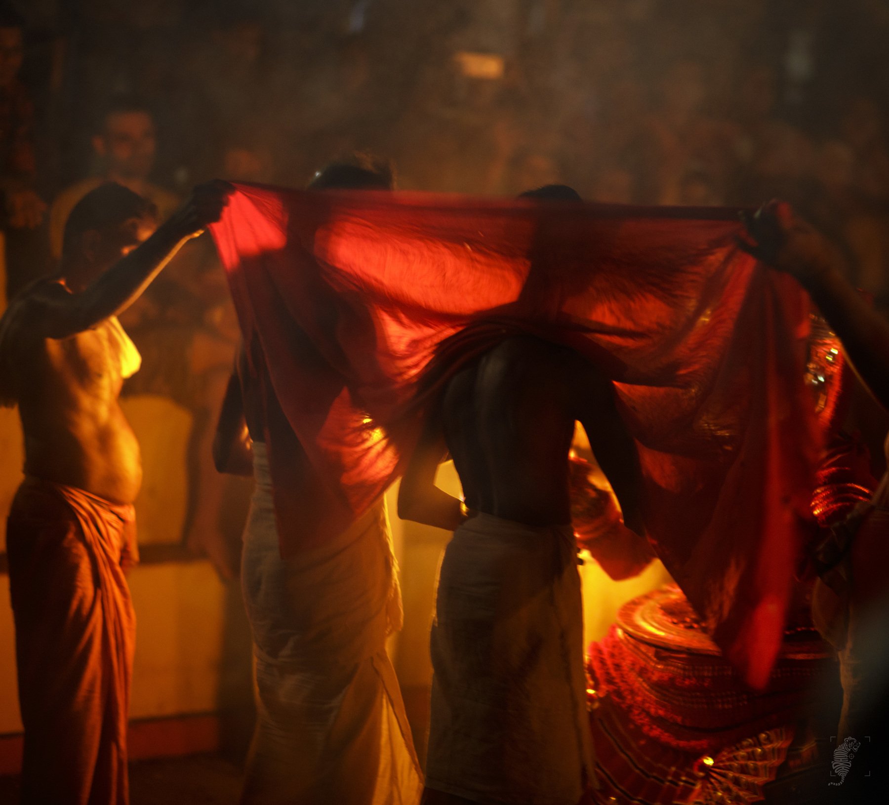 #india #theyyam #performingarts #shadows #night #backlit #kerala, Abhijit D