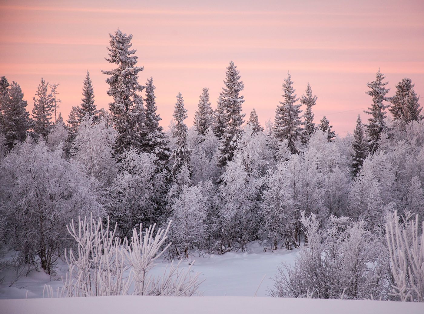 зима,север,пейзаж,рассвет,красота, landscape, winter, beauty, north,dawn,nature, Юлия Стукалова