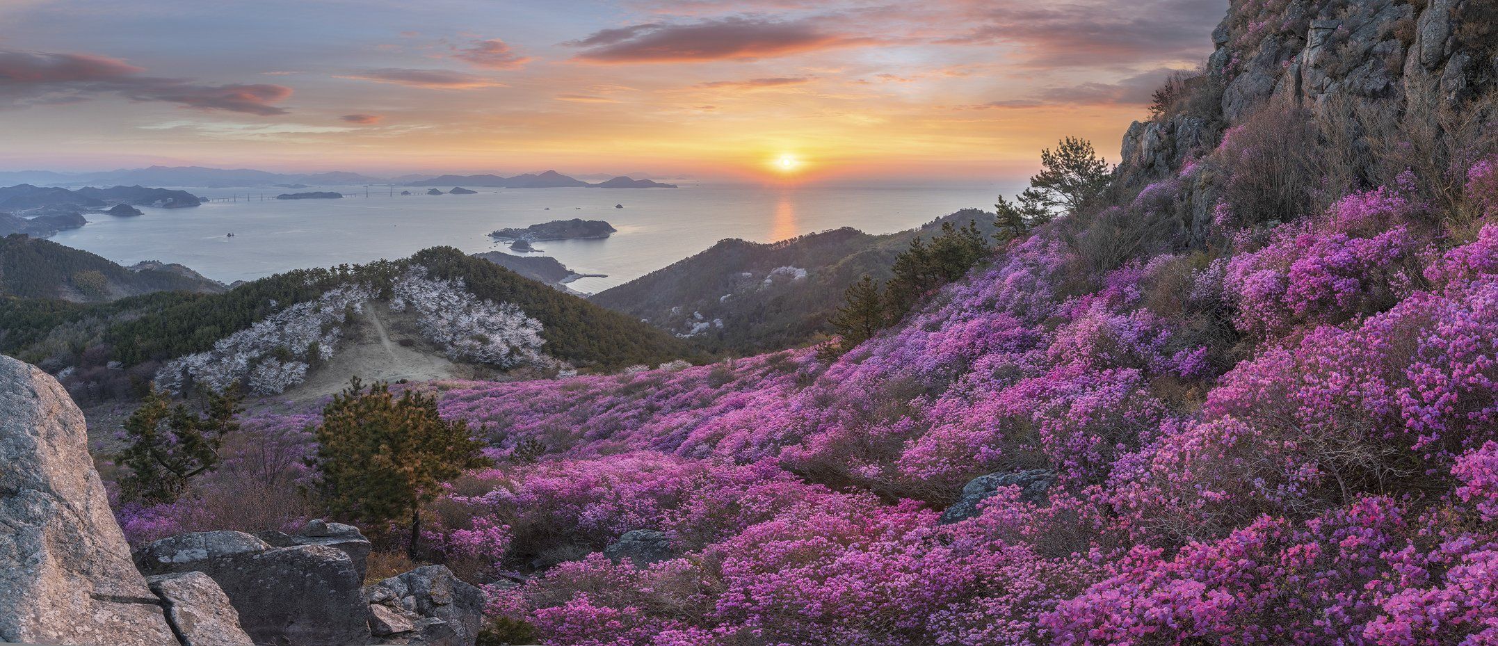 mountains,peak,hiking,spring,blossom,sunrise,panorama,sea,rocks,light,korea,azalea, Jaeyoun Ryu