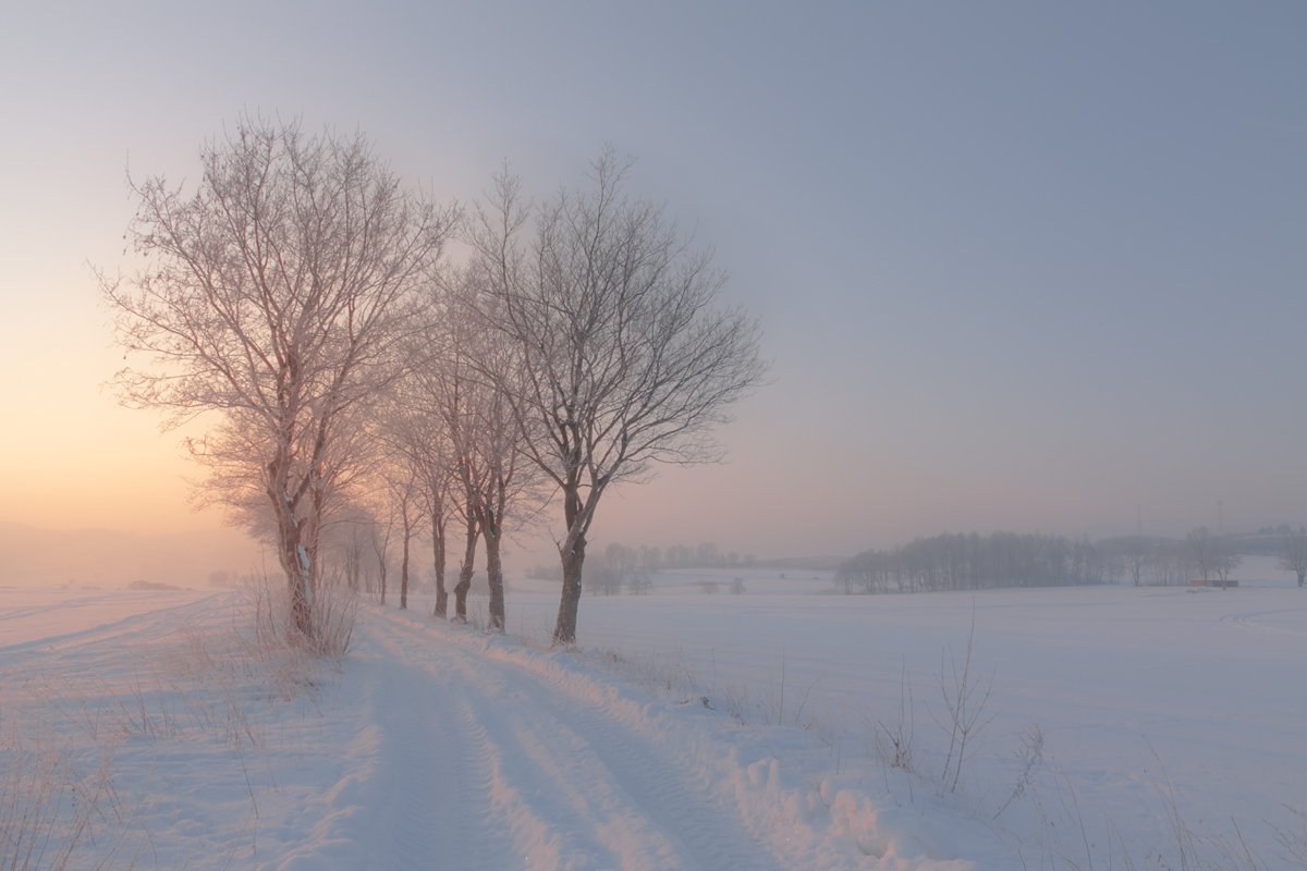 winter,roads,canon,sunrise, Iza i Darek Mitręga