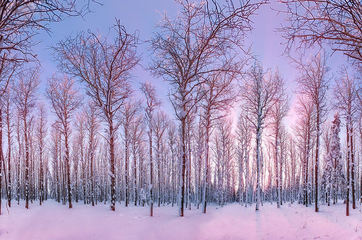 пейзаж, зима, снег, рассвет, мороз, деревья, закат, урал, Konstantin Mironov