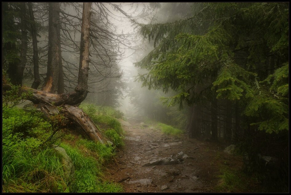 bulgaria, , vitosha, Svetoslav