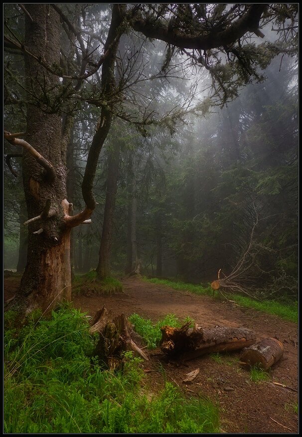 bulgaria, , vitosha, Svetoslav