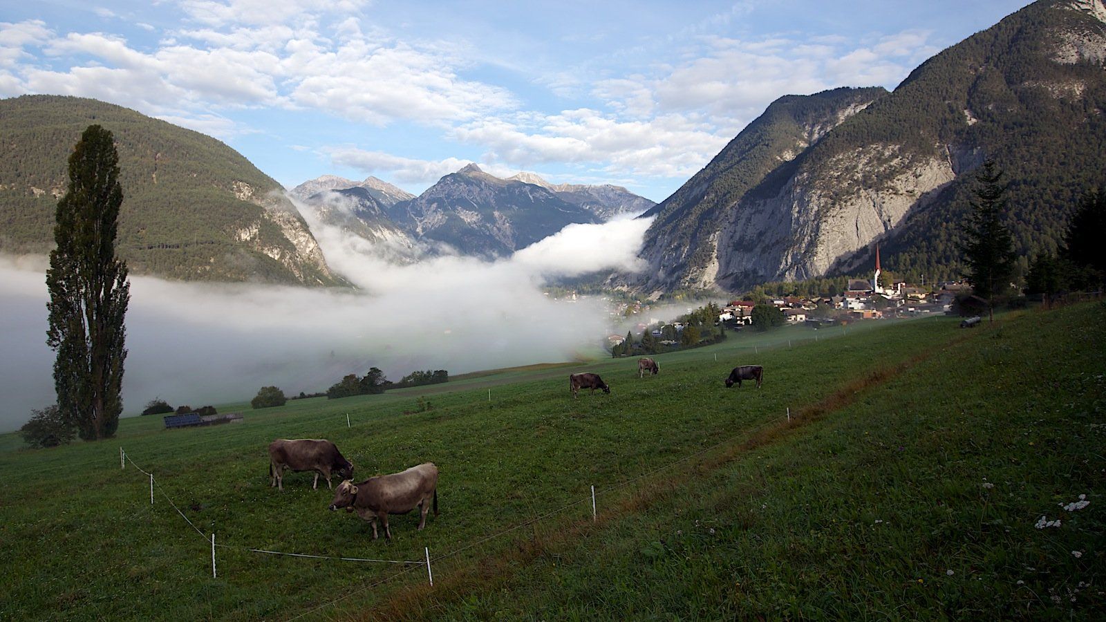 австрия,горы,туман,город,облака,коровы,утро., СПИРИДОНОВ НИКОЛАЙ