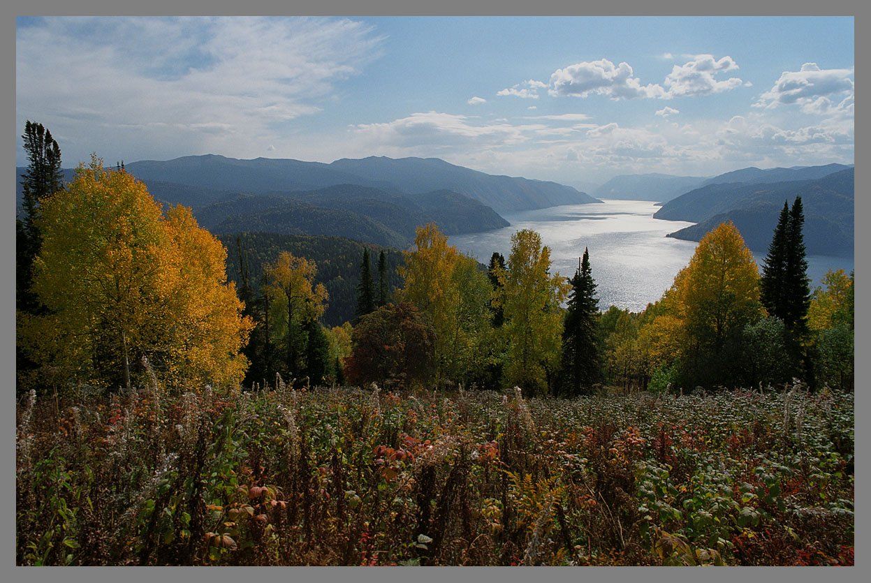 Природно климатическое разнообразие россии. Золотая осень горный Алтай Белокуриха. Телецкое озеро Тайга Тайга.