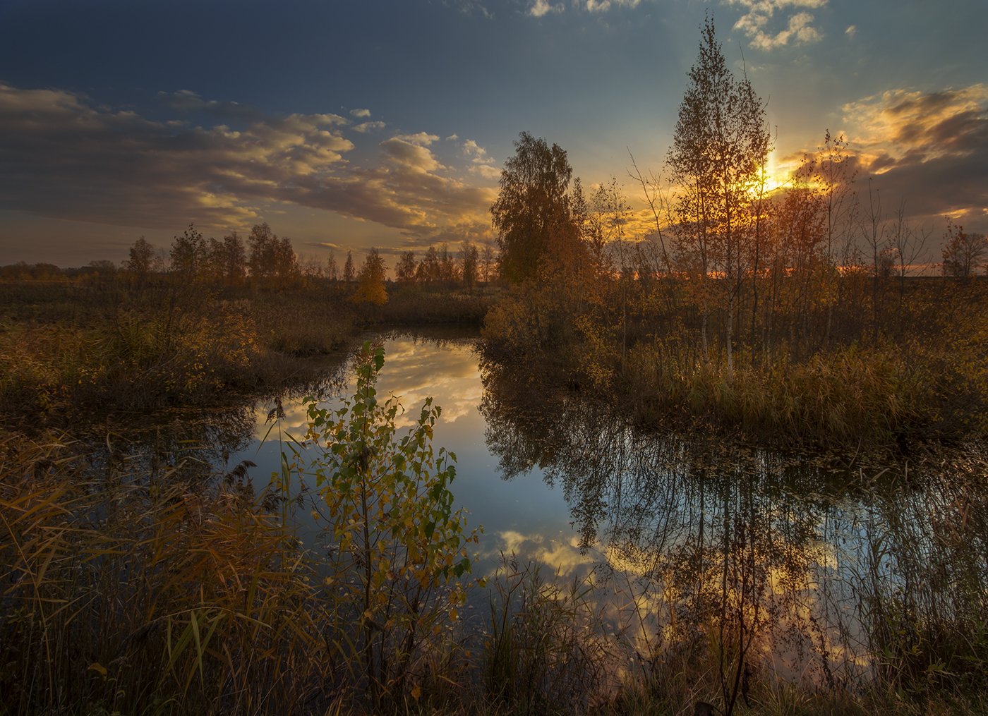 пейзаж,осень,вечер,болото, Елена Рубинская