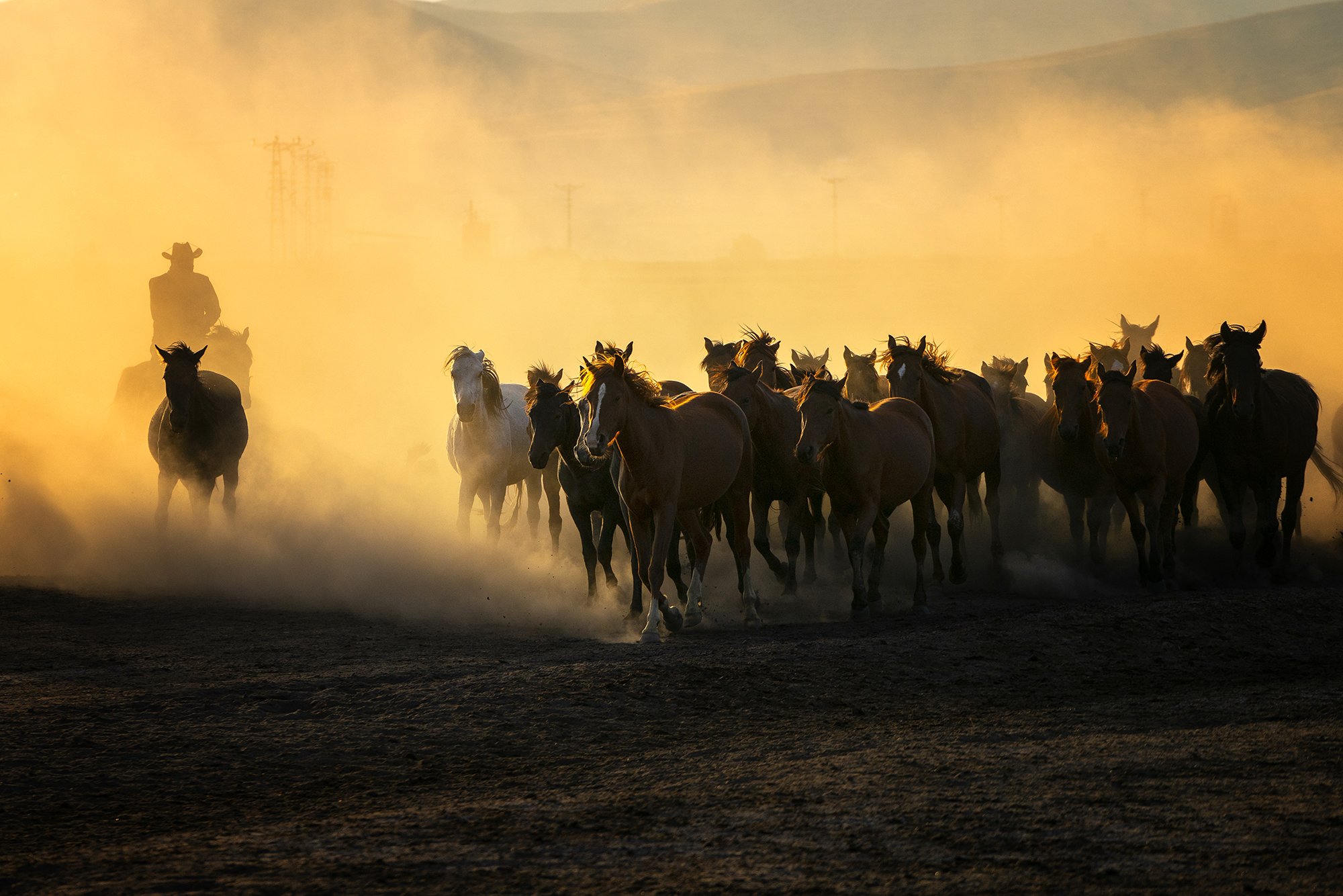 #Horses #man #Kayseri #Dust #running #hat , Fikriye Er