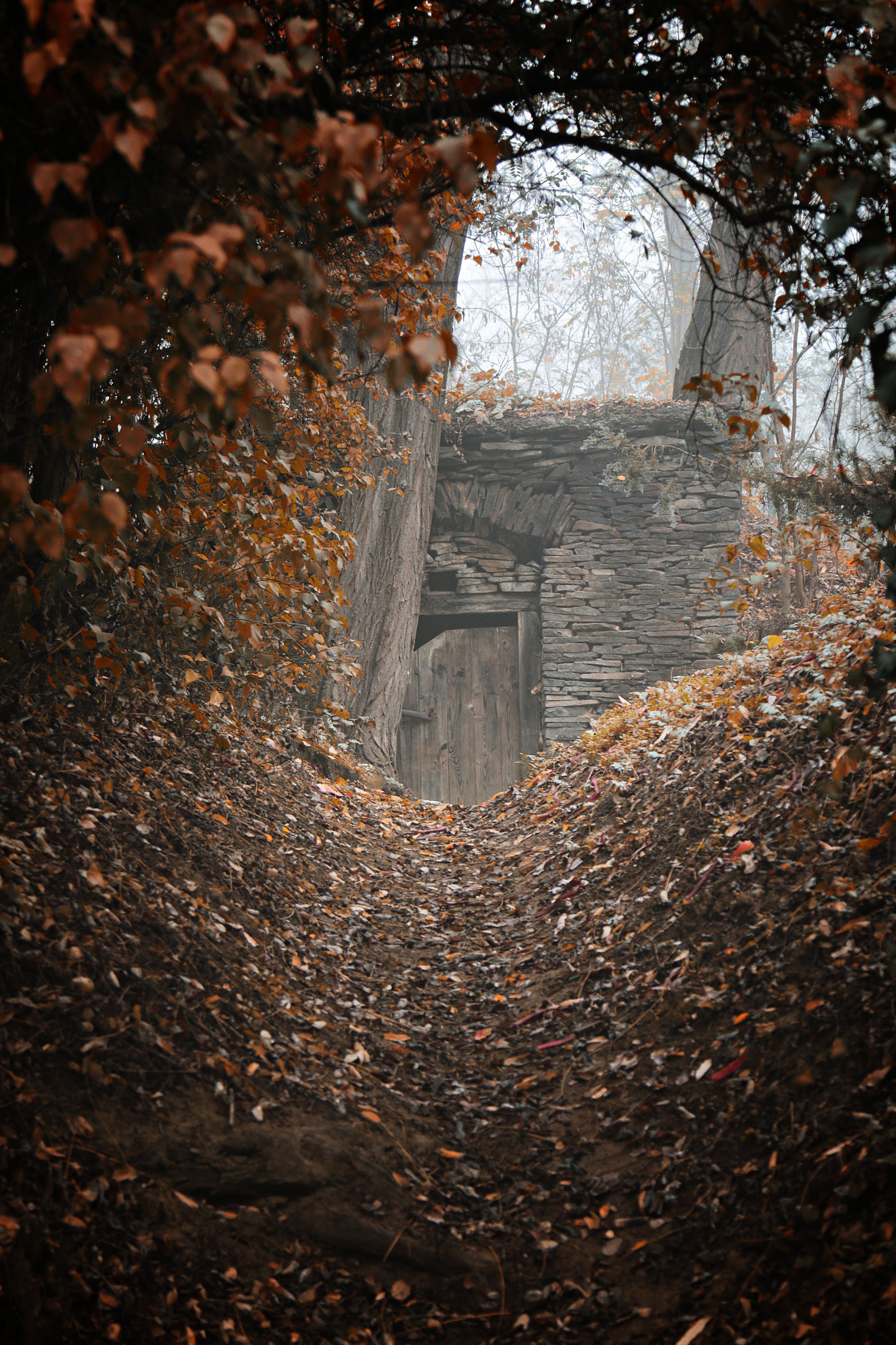 wine, cellar, wine cellar, slovakia, photography, autumn, urban and rural, foggy, , Adrian Eperjessy