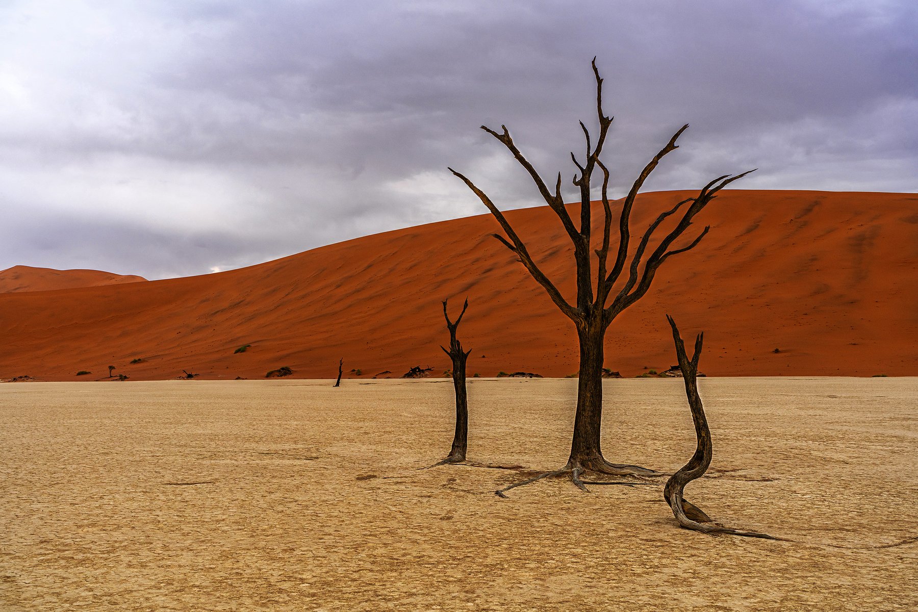 #Namibia #Desert #Deadvlei #Orange #Tree #Sunrise , Fikriye Er