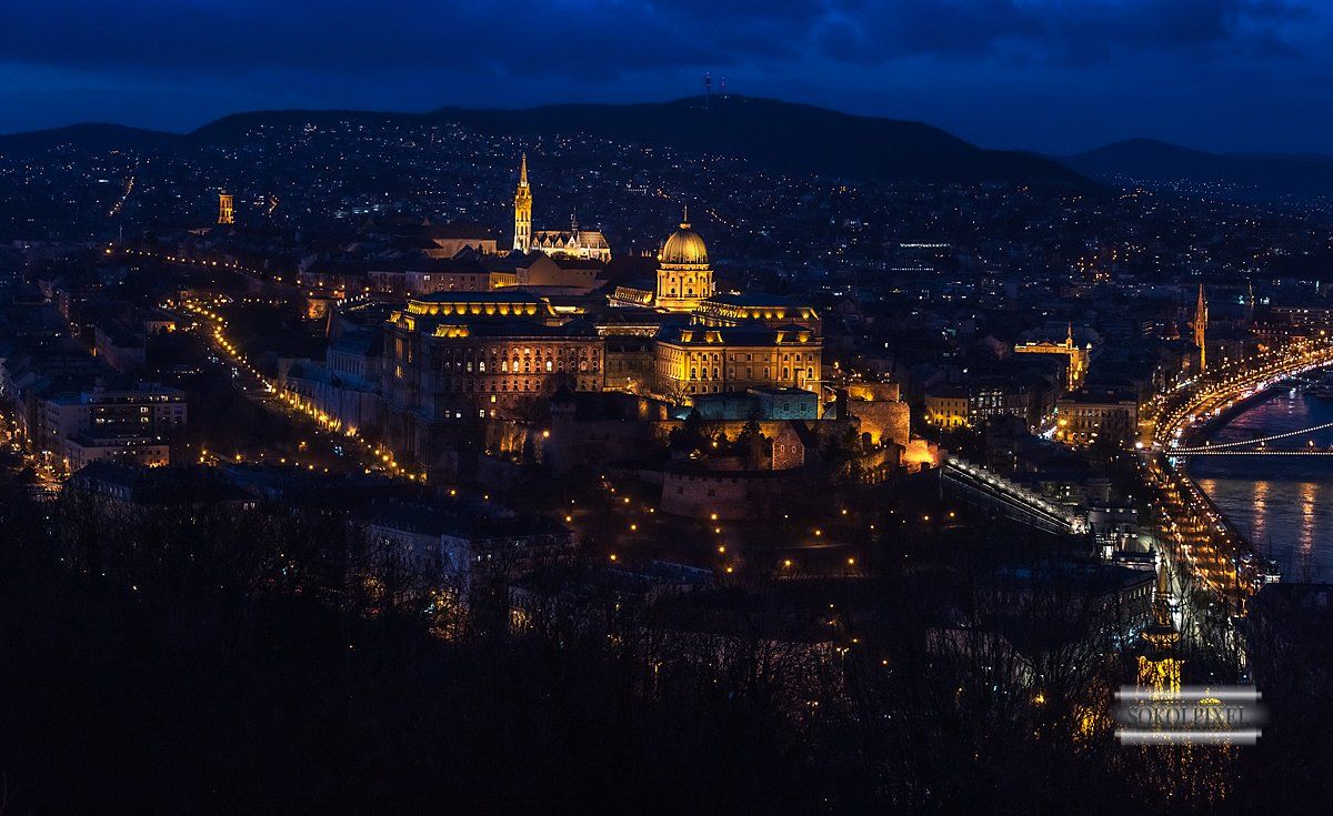 будапешт,королевский дворец,ночной город,огни ночного города,венгрия,столица,путешествия, Андрей Cоколов