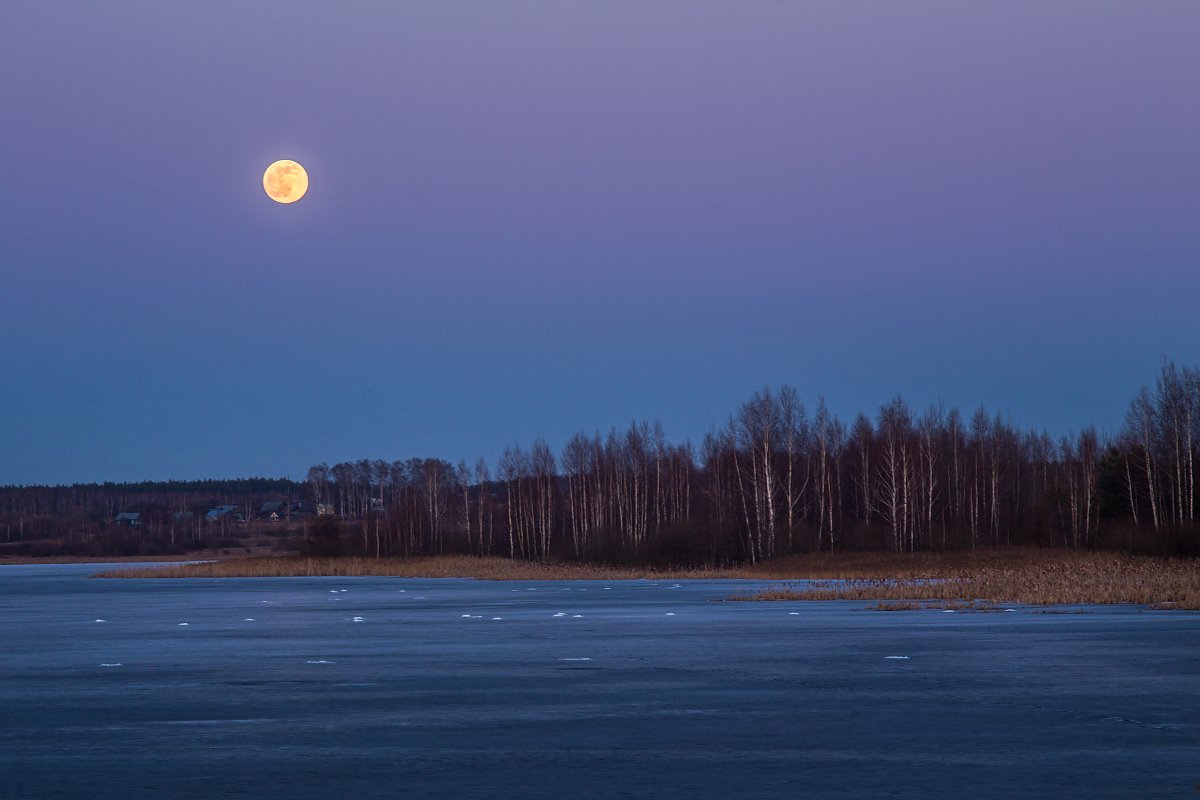 вечер луна полнолуние март, Дмитрий Алексеев