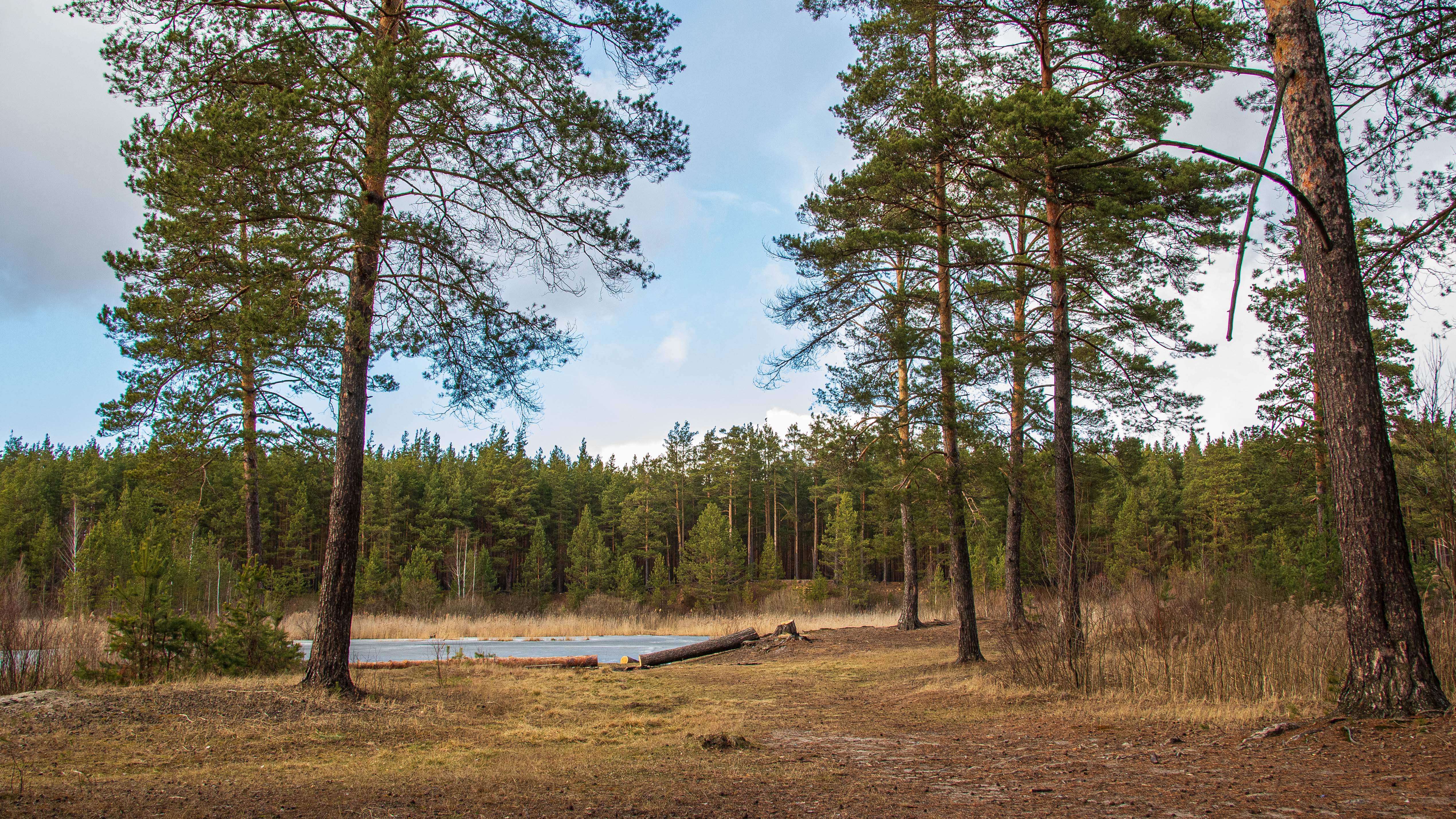 пейзаж, кулебаки, landscape, весна, spring, день, day, солнце, sun, Владимир Васильев