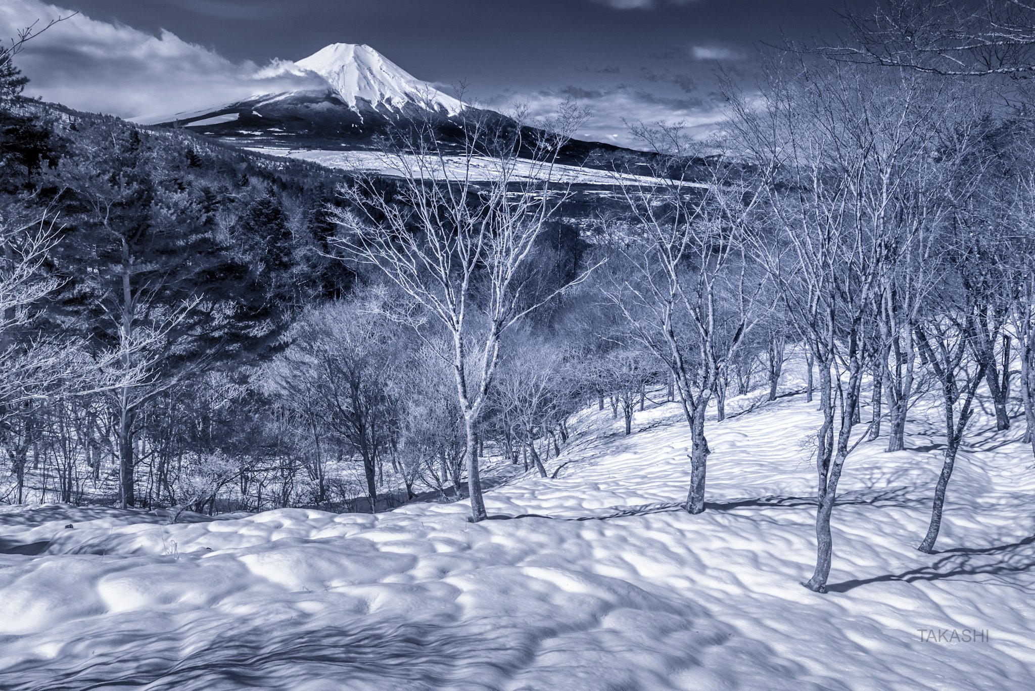 Fuji,mountain,Japan,snow,spring,morning,trees,wonderful,beautiful, Takashi