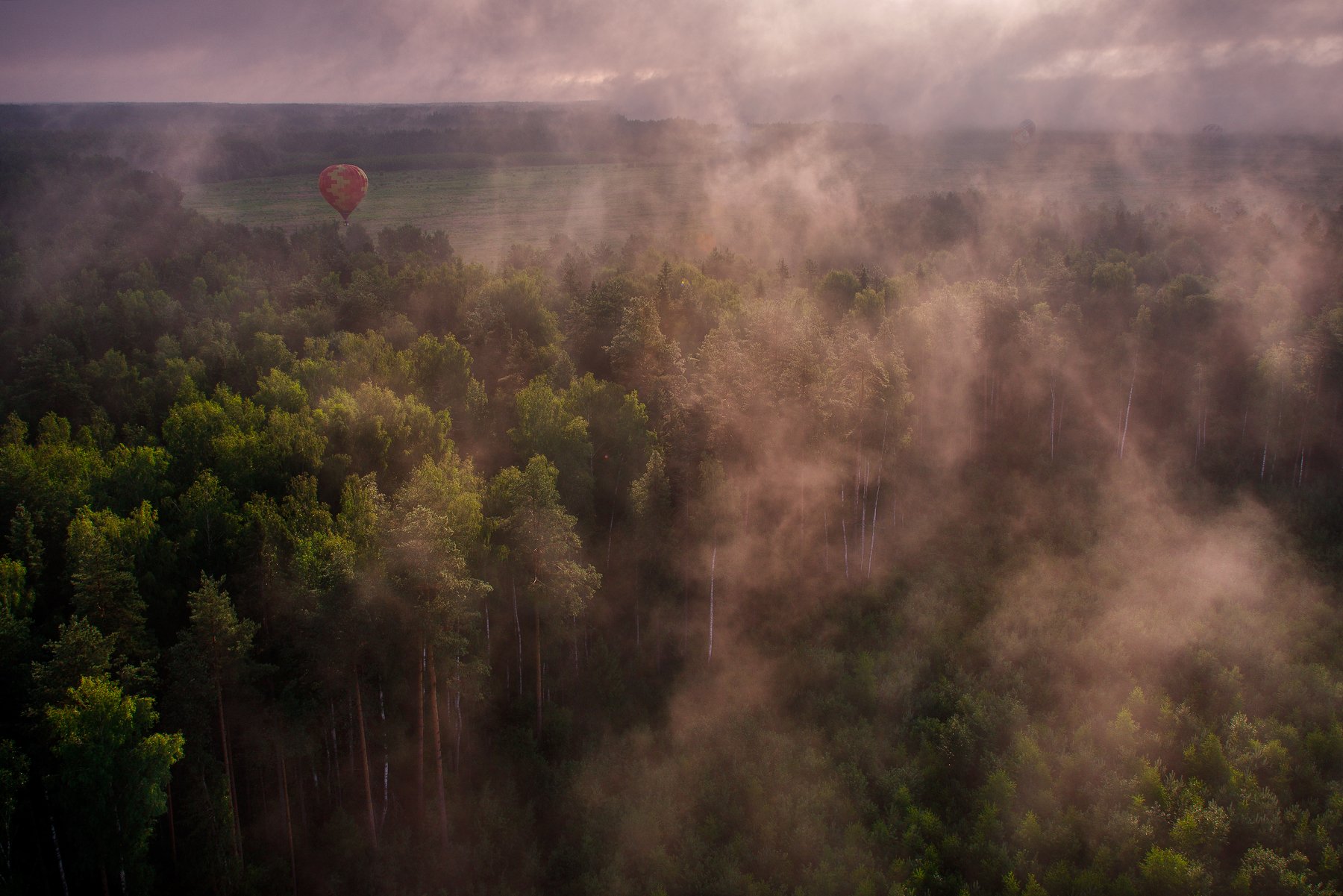 воздушный шар, туман, лес, россия, шар, рассвет, пейзаж, Андрей Грибов