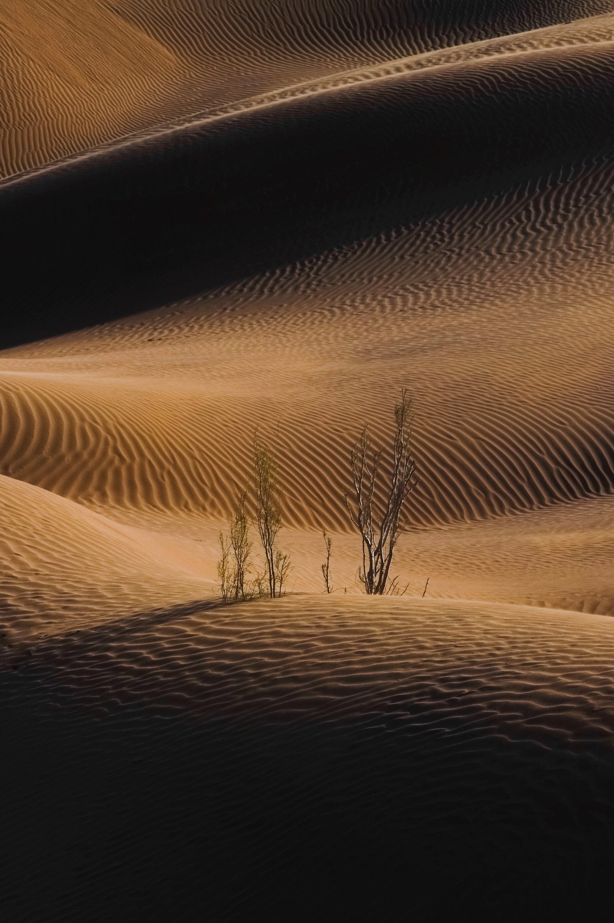 #desert #forms #landscape, Arab Abolfazl