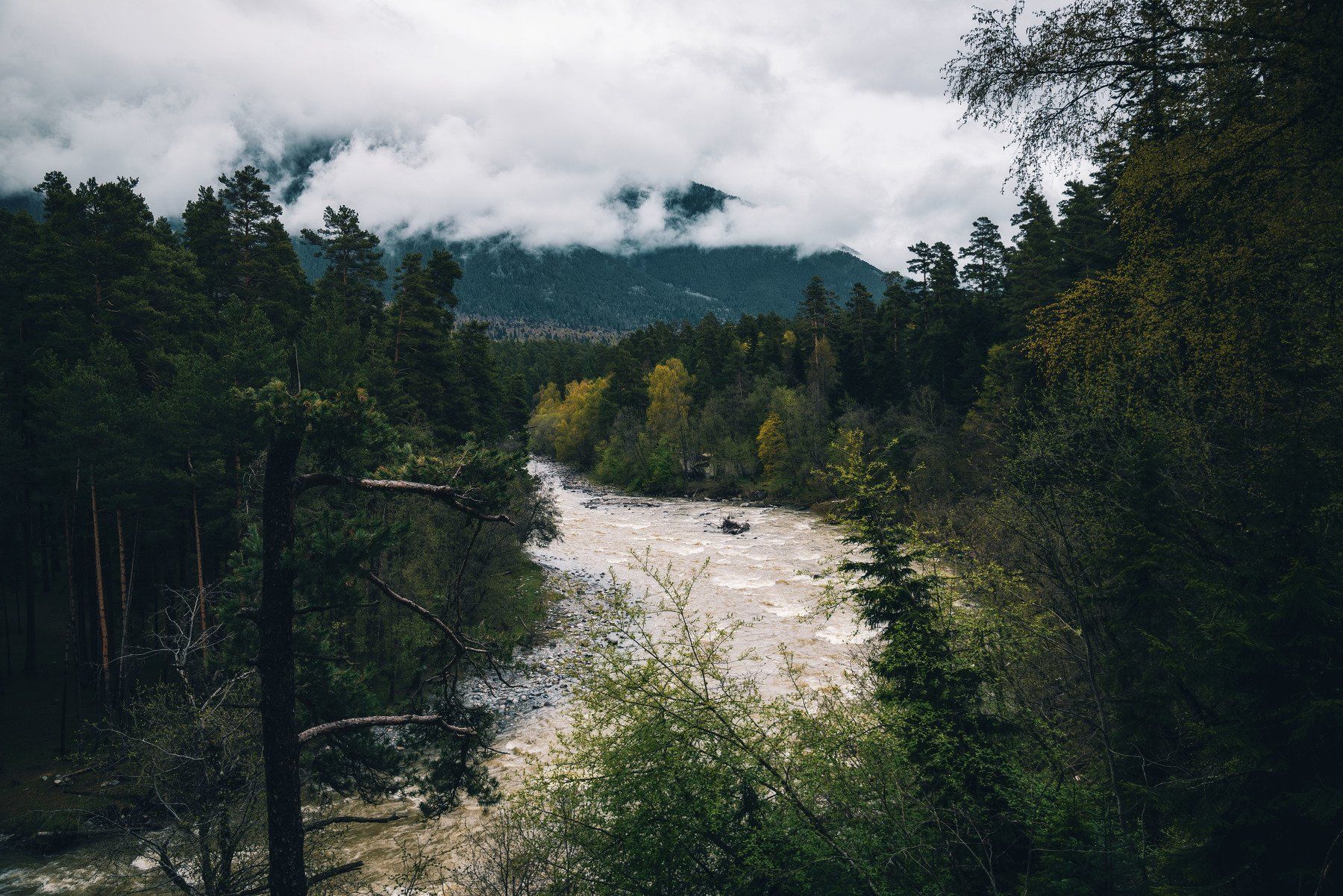 mountains nature spring arkhyz  river forest landscape caucasus, Егор Бугримов