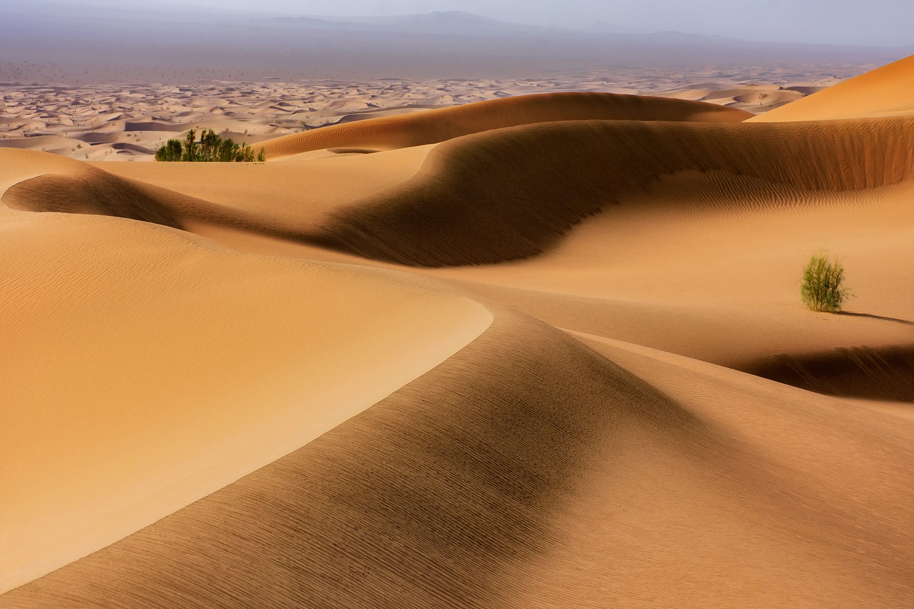 #desert #forms #landscape #iran, Arab Abolfazl
