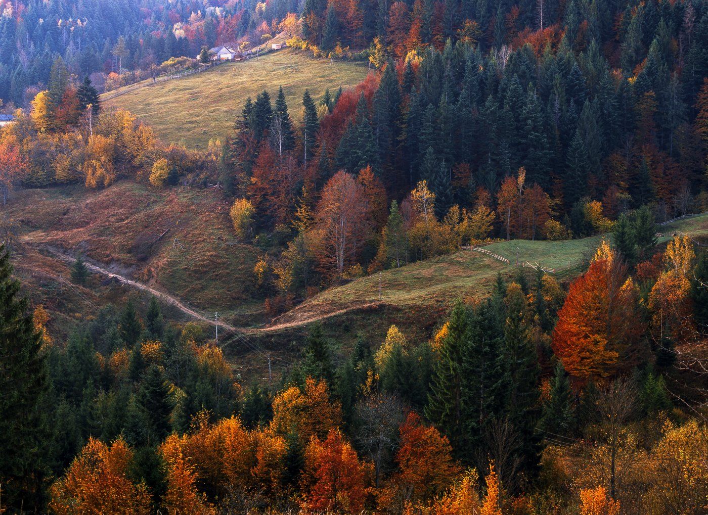 autumn, carpathian, colorful, countryside, fall, field, foliage, forest, hill, house, land, landscape, meadow, morning, mountain, mountains, nature, outdoor, pasture, picturesque, red, rural, scenery, season, tranquil, travel, tree, view, wood, yellow, Арсений Герасименко