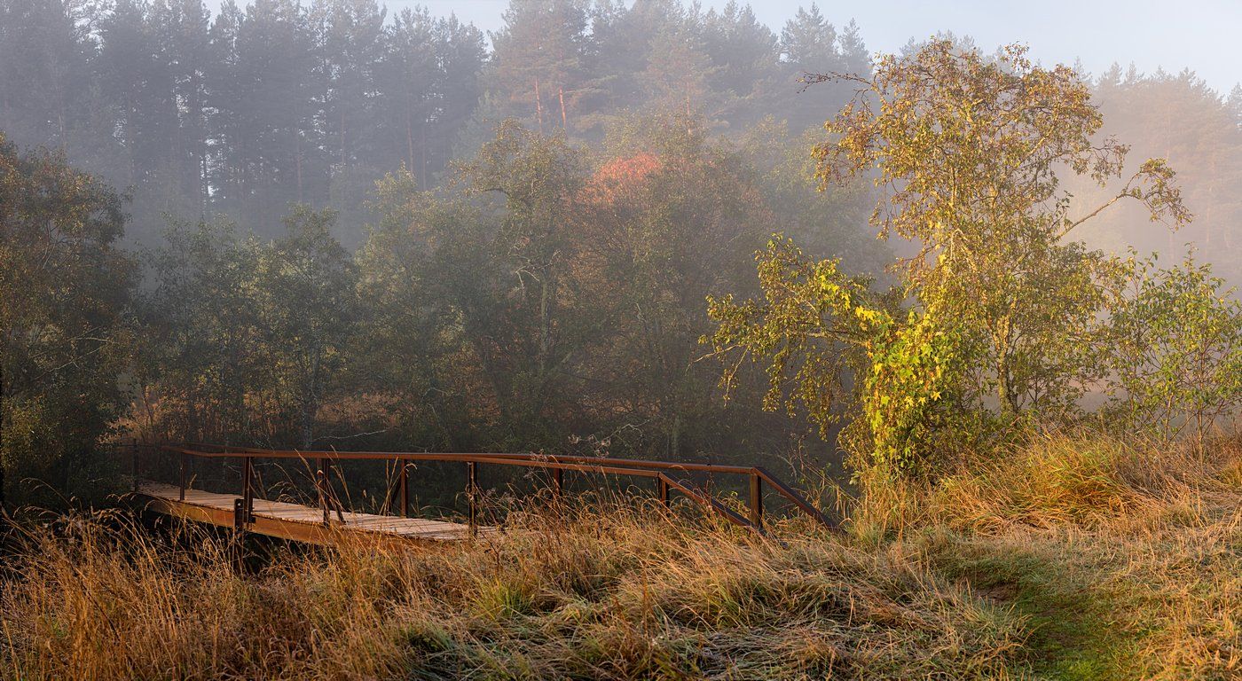 мостик природа туман утро, Yakovlev Artur