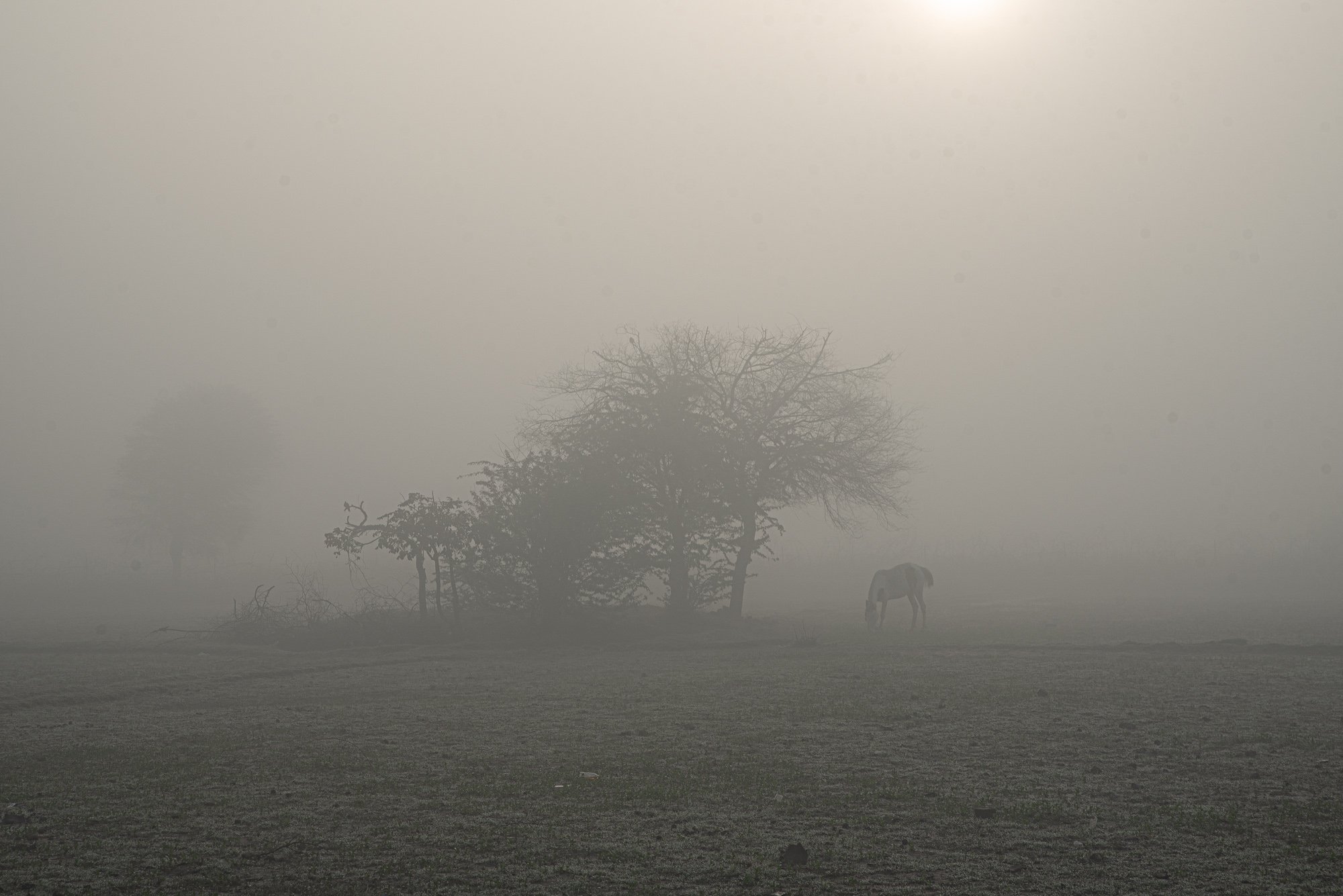 fog, landscape, Aleksei Kurlov
