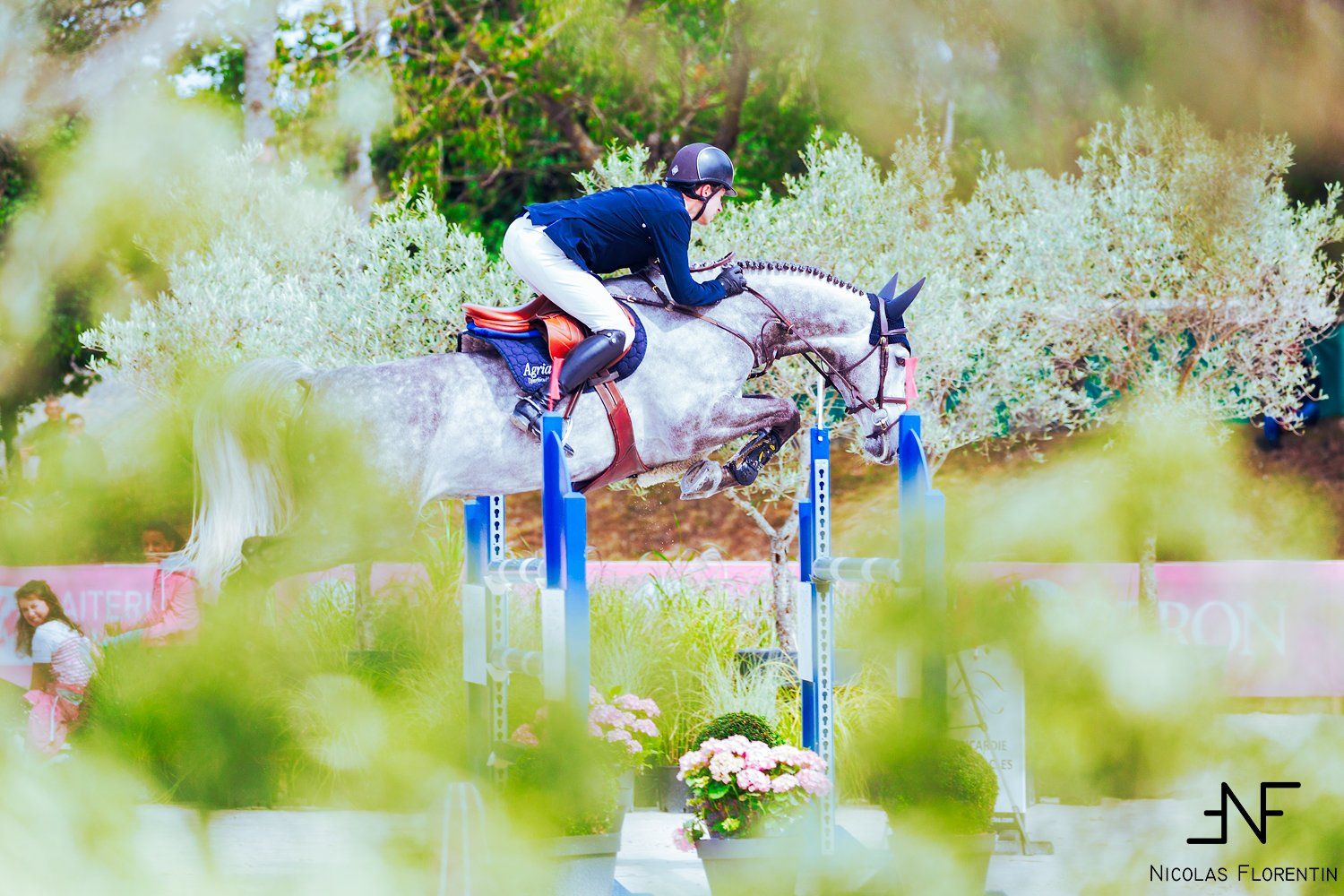 sport, horse, jumping, jump, riding, Nicolas