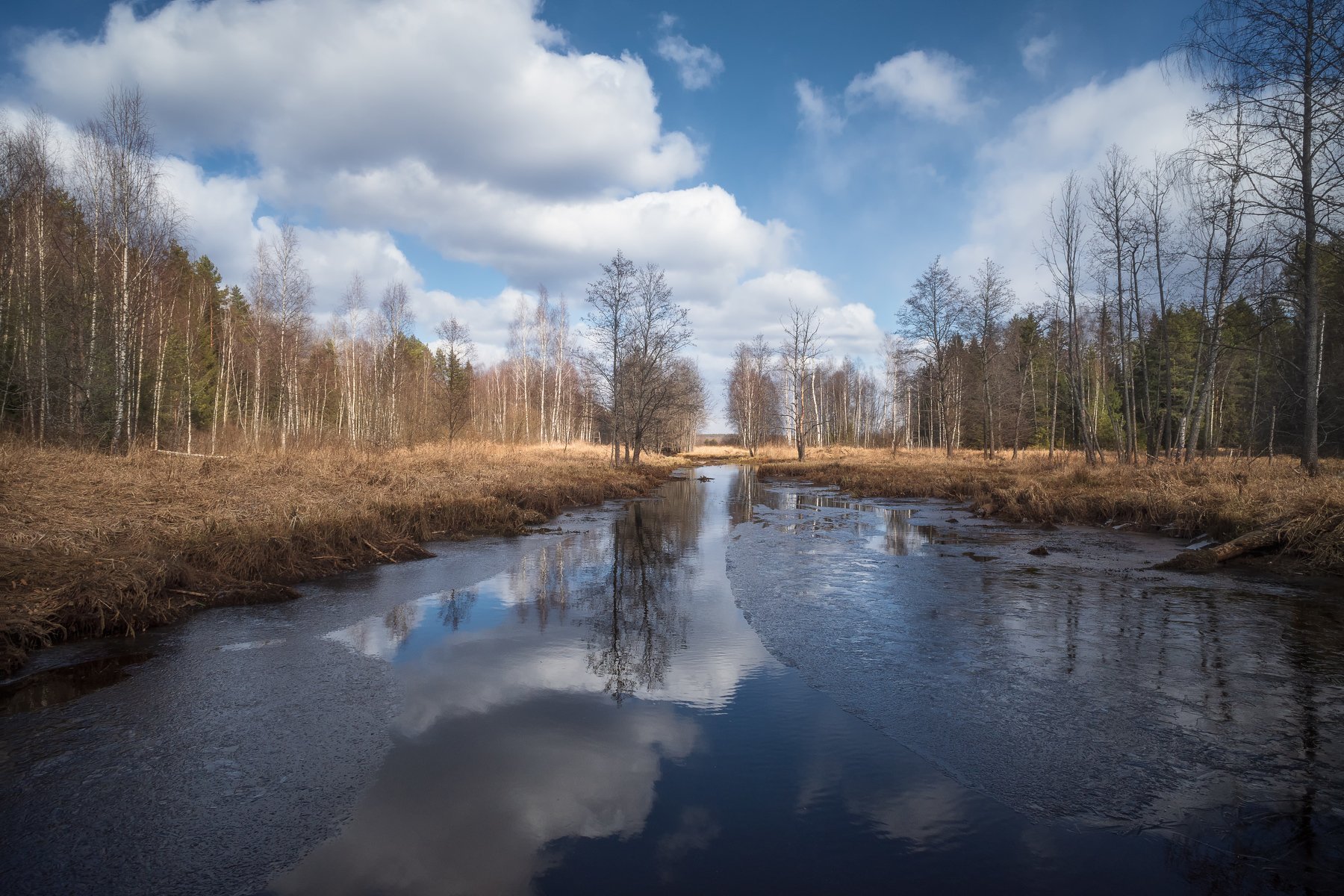 весна, лес, река, лёд, небо, облака, отражение, Виталий Полуэктов