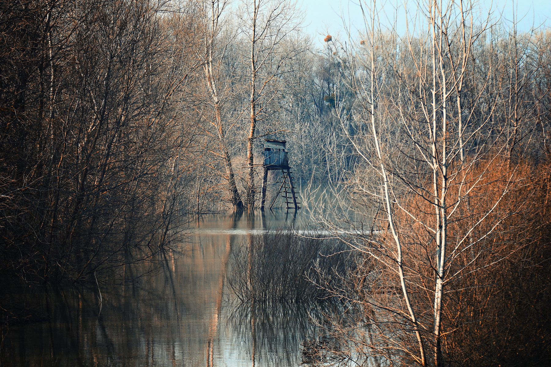 landscape, nature, flood, slovakia, photography, water, forest, trees, winter, naturephoto, Adrian Eperjessy