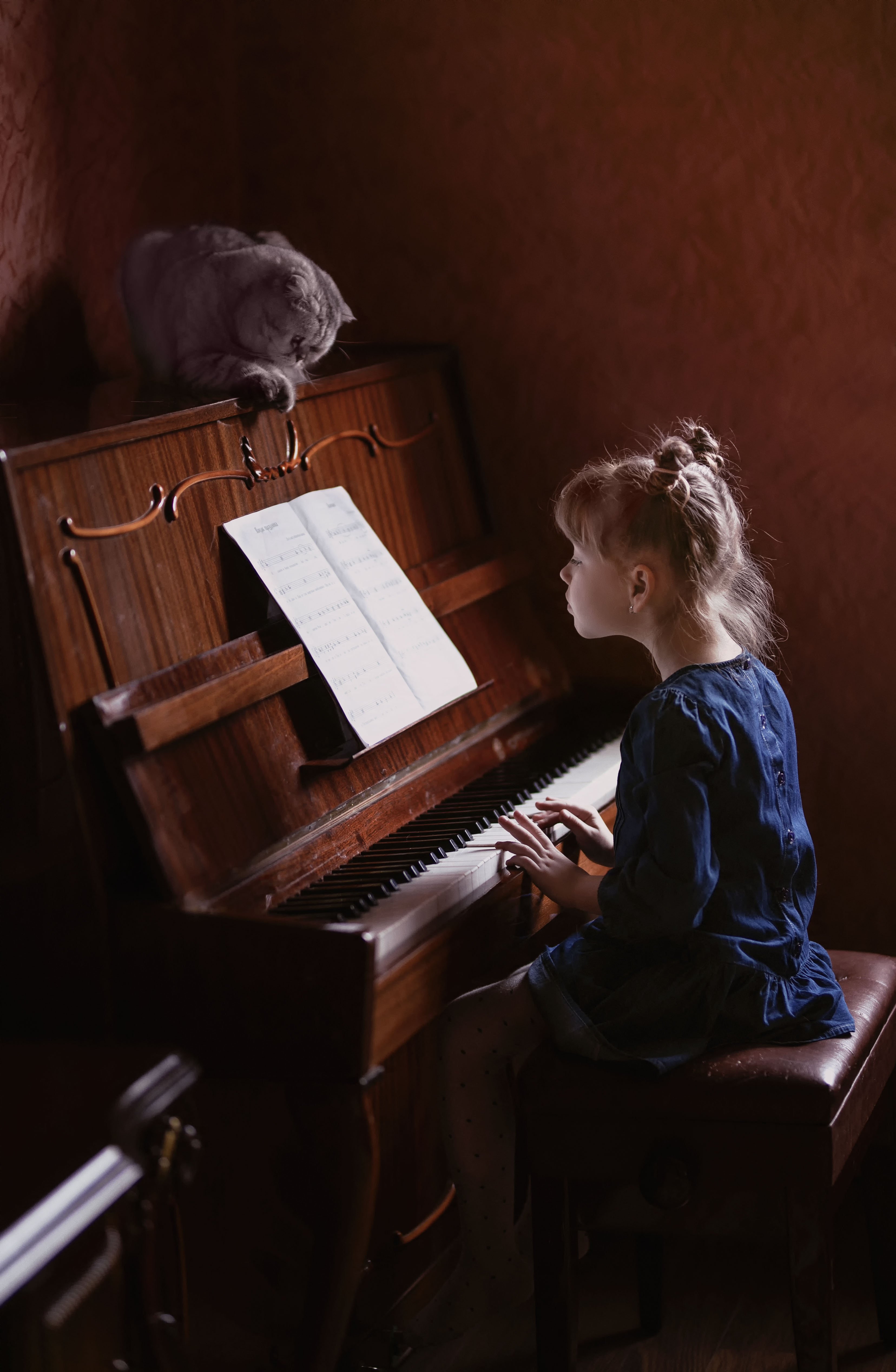 девочка кот пианино дуэт детство музыканты помощник урок занятие друзья, Марина Еленчук