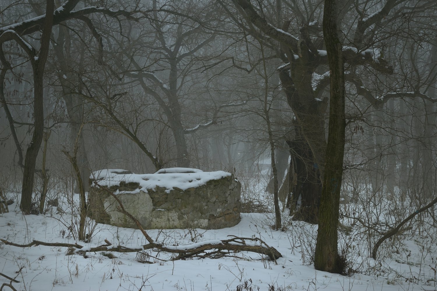 зима утро туман больница, Александр Жарников