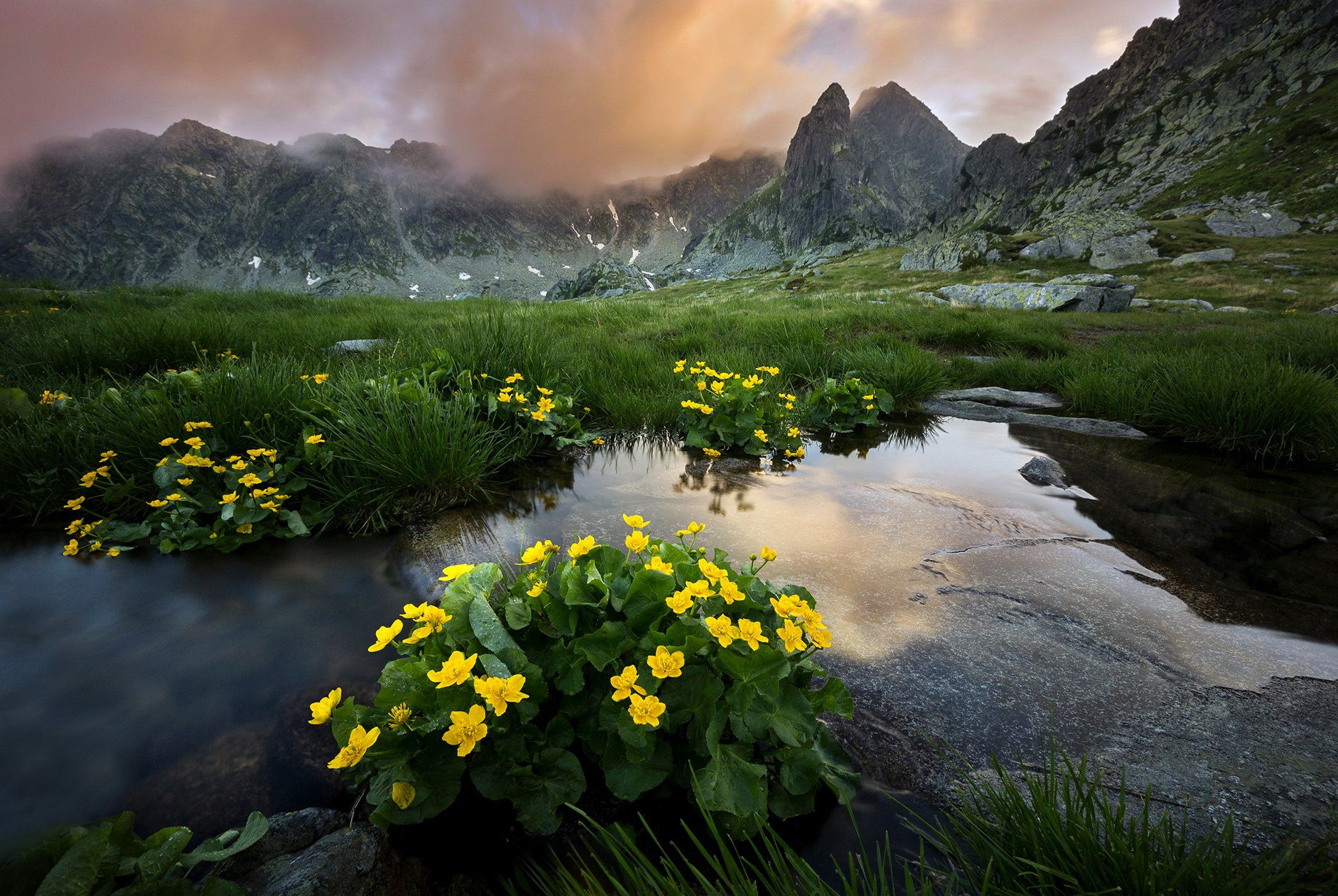 mountains, retezat, romania, sunset, landscape, nature, travel, summer, peak, clouds, flowers, Lazar Ioan Ovidiu
