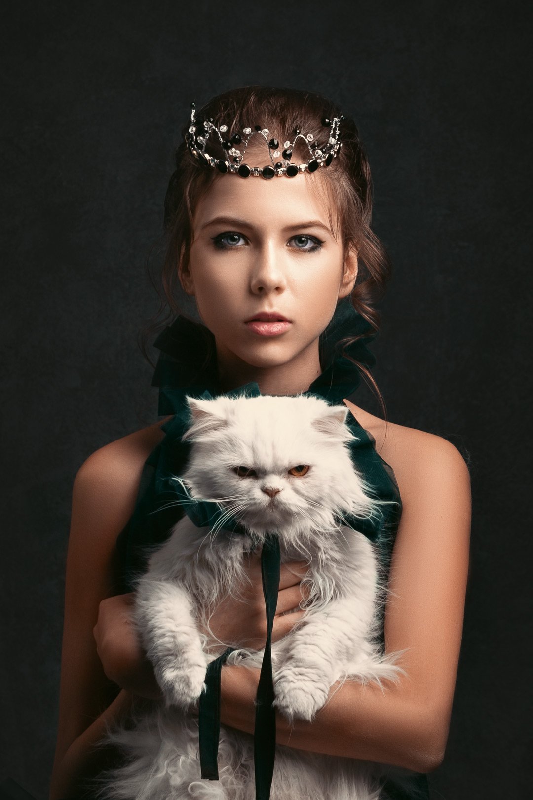 кот, девочка, принцесса, животное, сиамский кот, характер, цвет, корона, Марина Кондратова