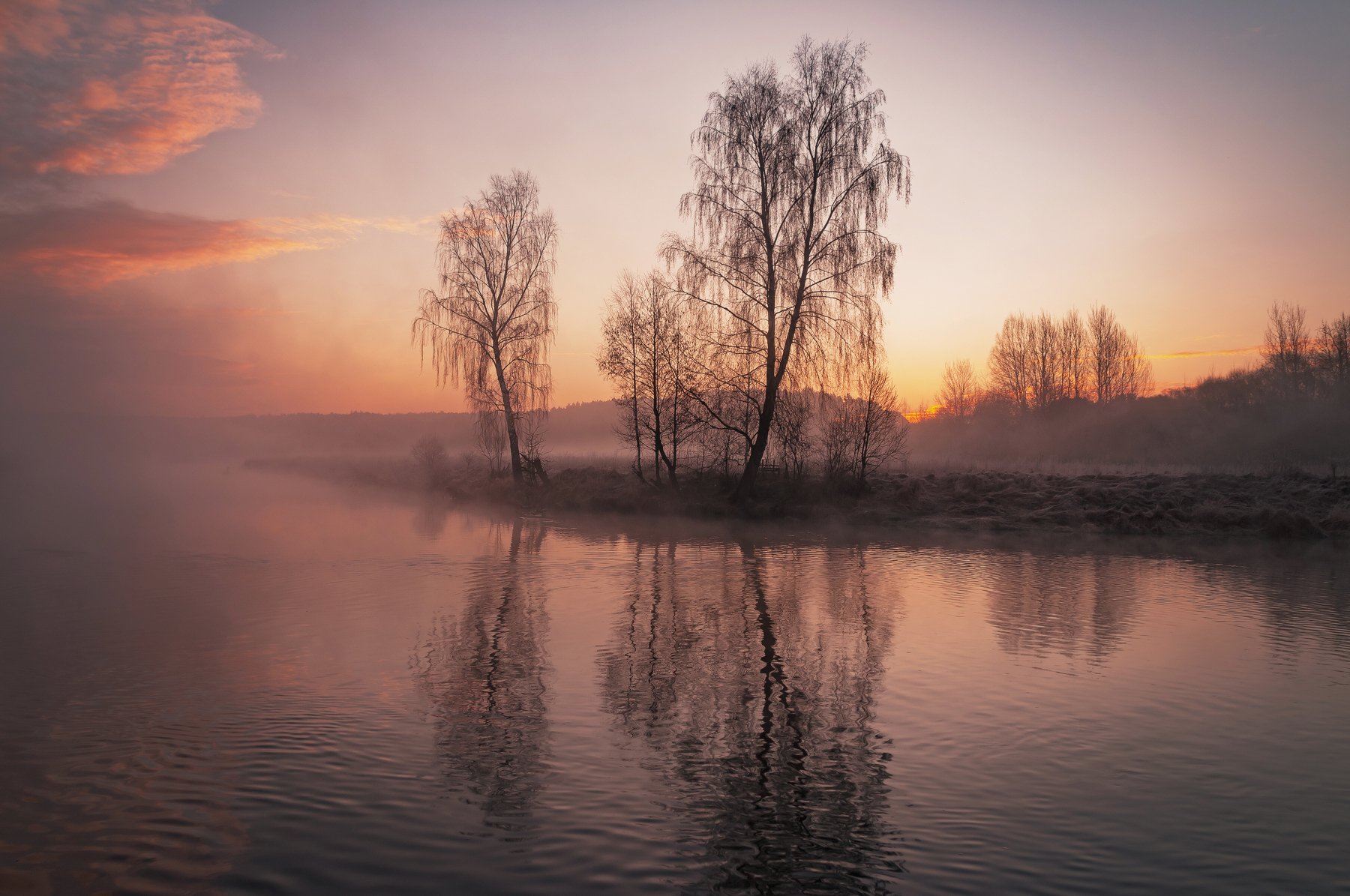 утро, свислочь, туман, весна, пейзаж, Александр Гвоздь