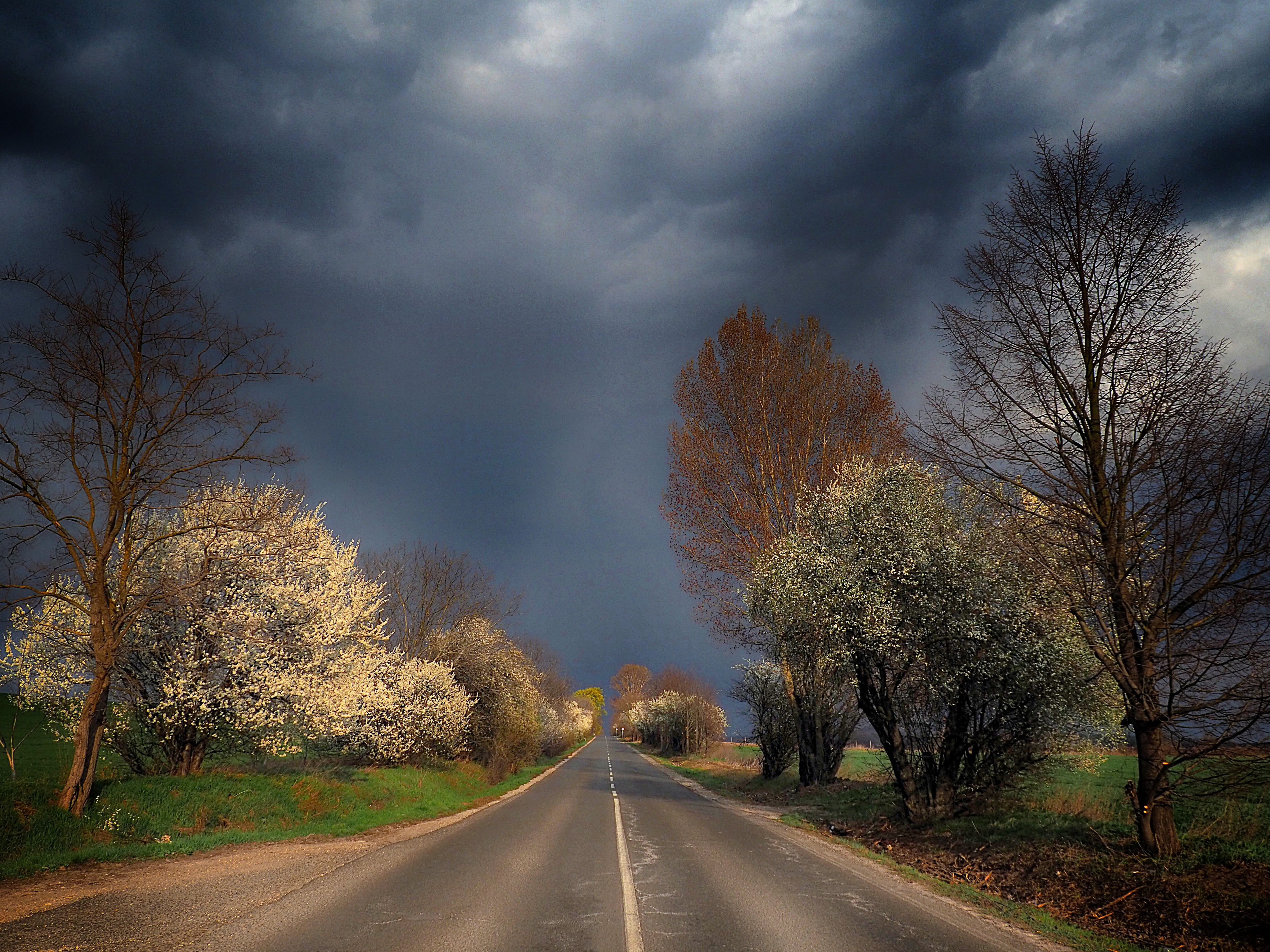 hungary, roads, country, country roads, spring, clouds, photography, lights, colors, Adrian Eperjessy