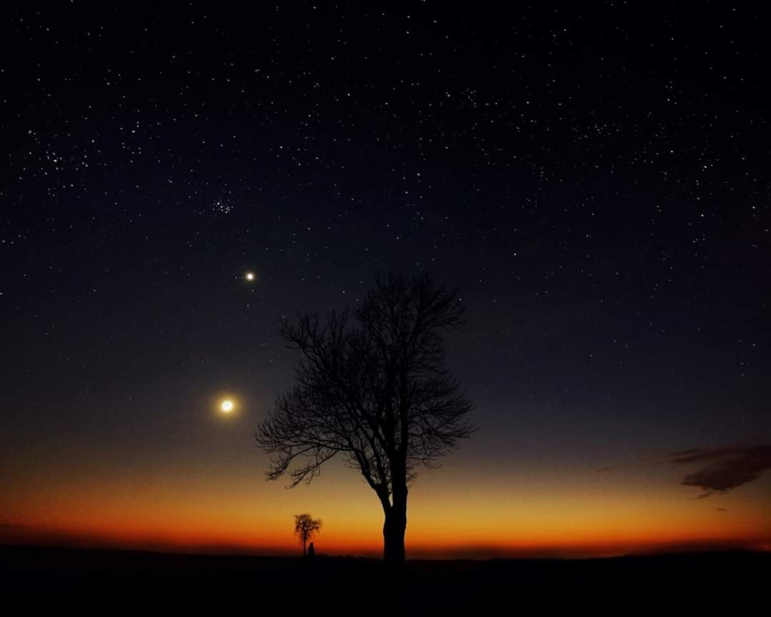 Night, sky, tree, moon, Venus, stars , Mindaugas Žarys