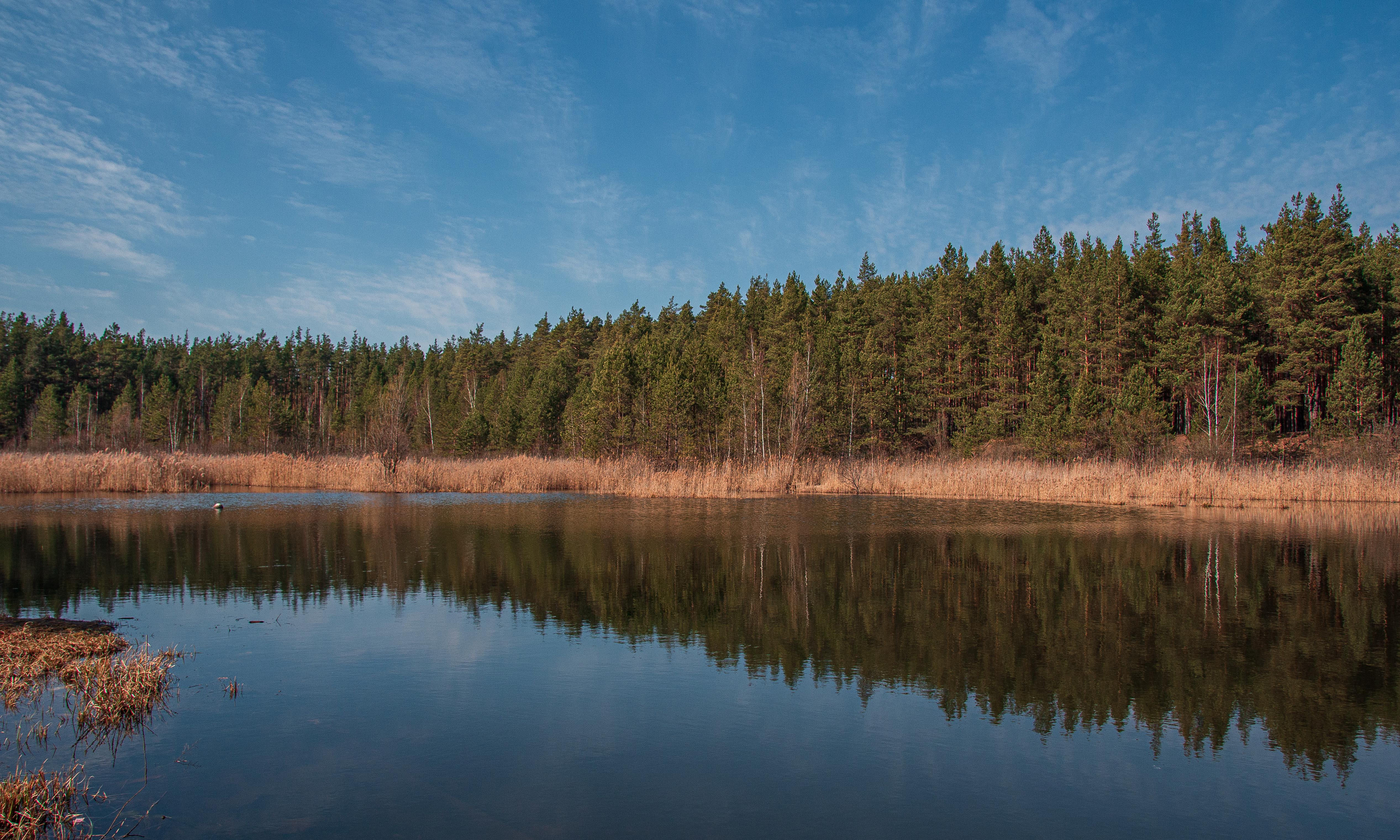 пейзаж, кулебаки, landscape, весна, spring, Владимир Васильев