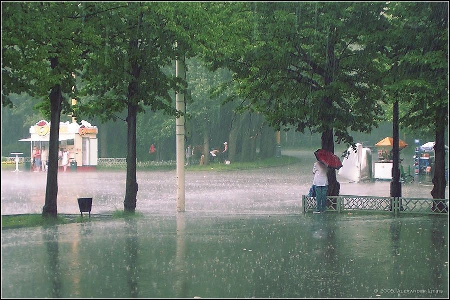 дождь,ливень,ненастье,лето,парк, Александр Лицис