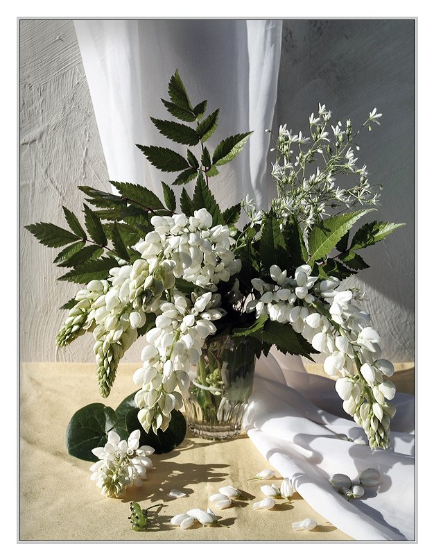 букет, цветы, люпины, аня графова, Аня Графова