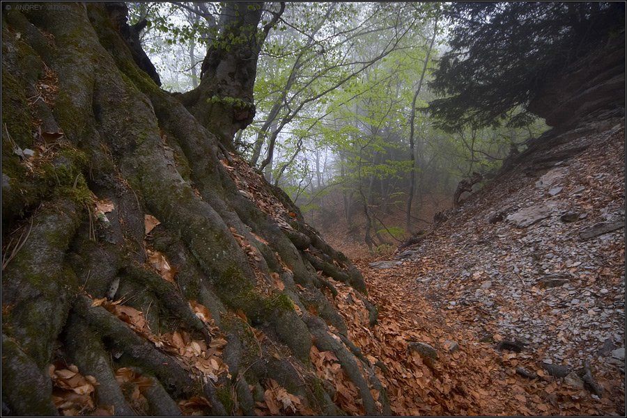крым, таракташ, пейзаж, туман, осень, весна, Андрей Житков
