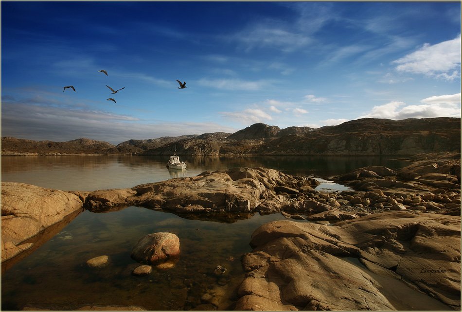 баренцево море, немецкий полуостров, малая немецкая бухта., lampadina