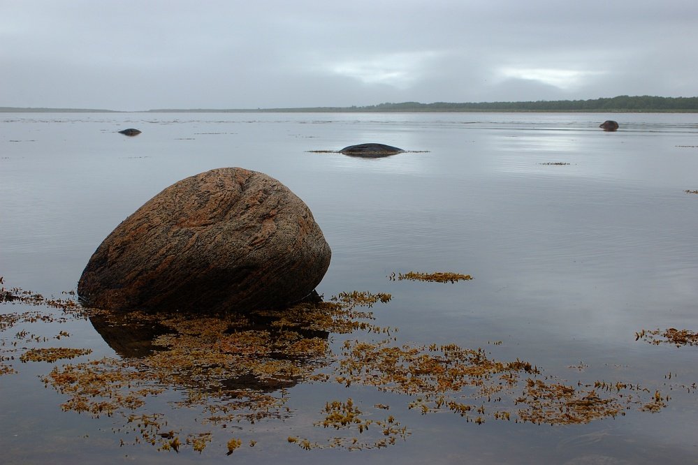 соловецкий архипелаг, заяцкие острова, белое море, утро, туман, одинокие камни, отражение, тихо, медитировать, Kaiser Sozo