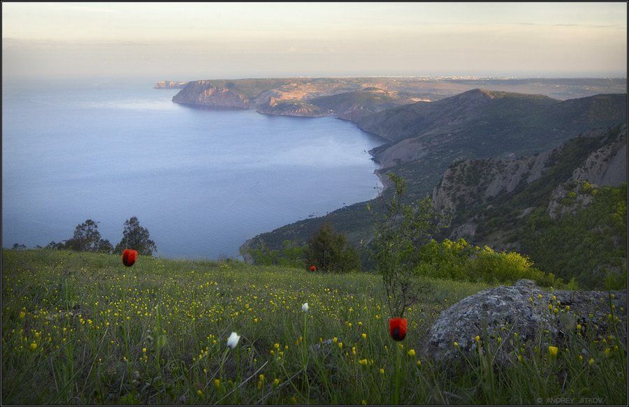 крым, море, небо, севастополь, горы,мак, утро, пейзаж, Андрей Житков