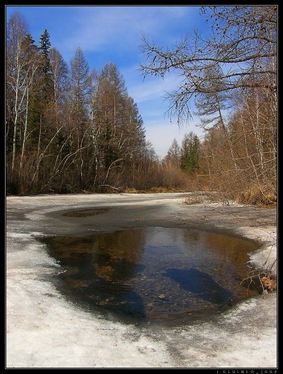 река, весна, лед, проталина, снег, лес, бурятия, Игорь Глушко