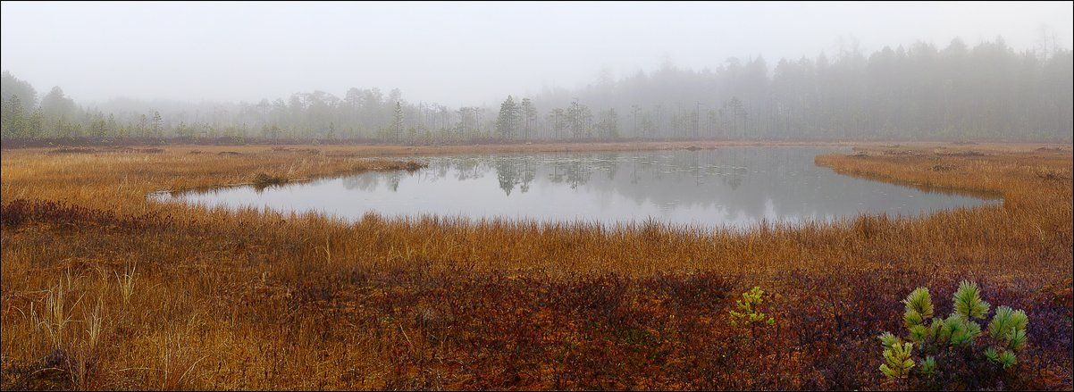 озеро, туман, Alexander Gil