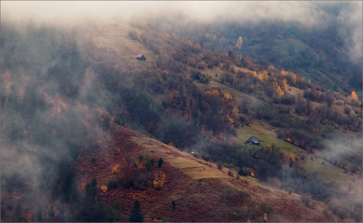 карпаты, перевал, межгорье, туман, склоны, черника, осень, окно, горы, nikkor 70-210/f4, закарпатье, панорамыа лес,, Влад Соколовский