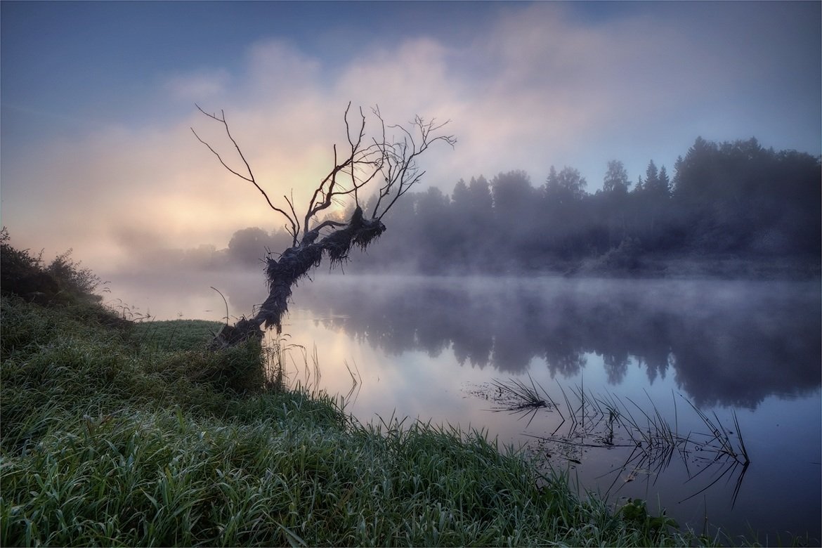 утро, туман, река, Сергей