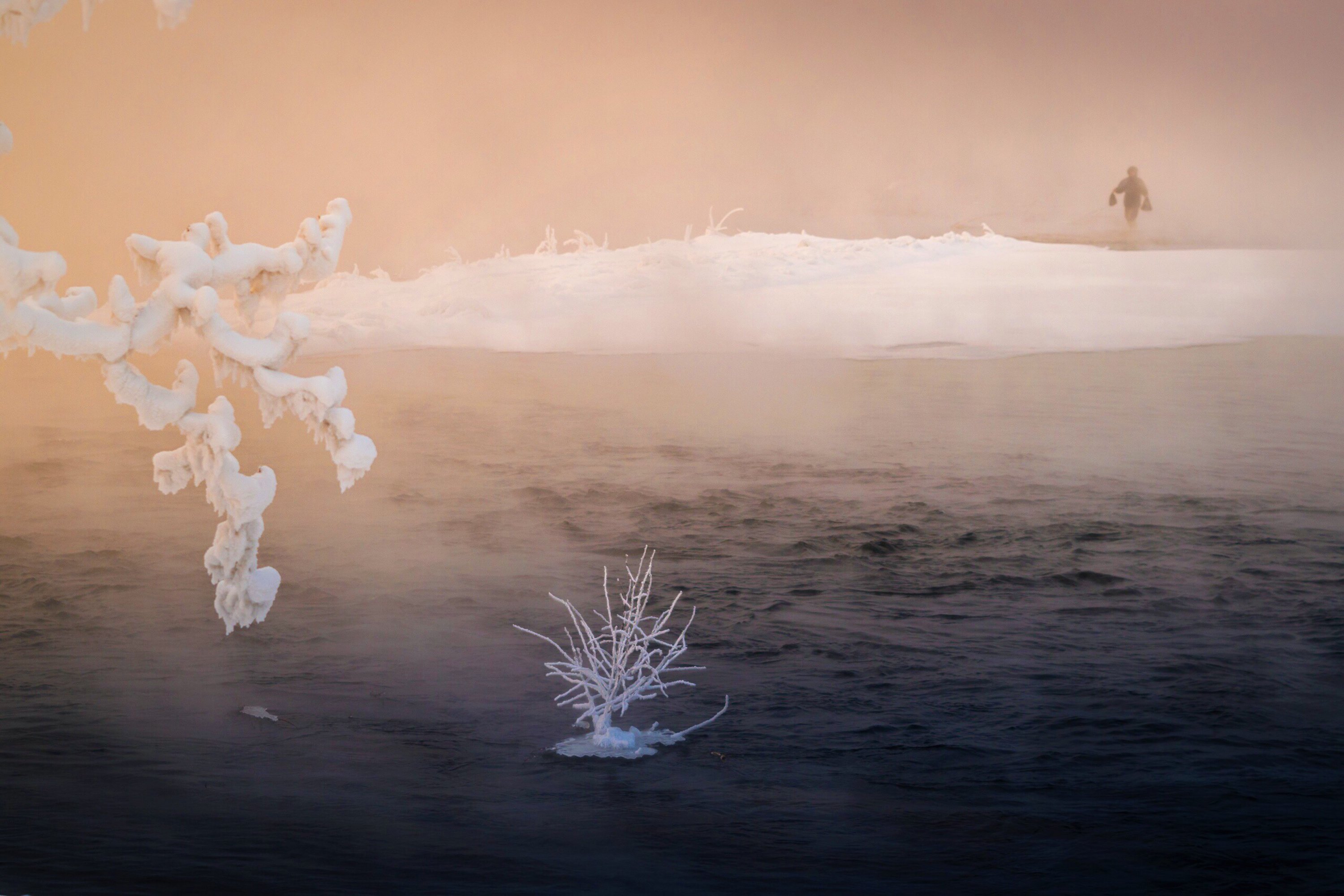 туман, зима, река, Екатерина Назарова